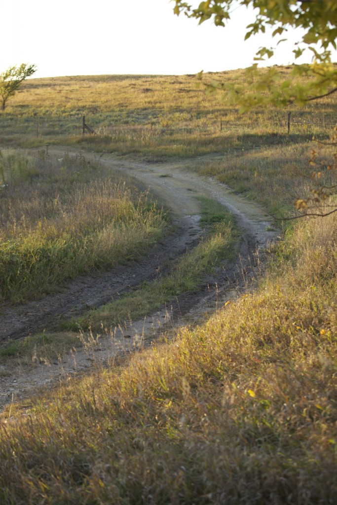 A dirt road winds through a grassy field.