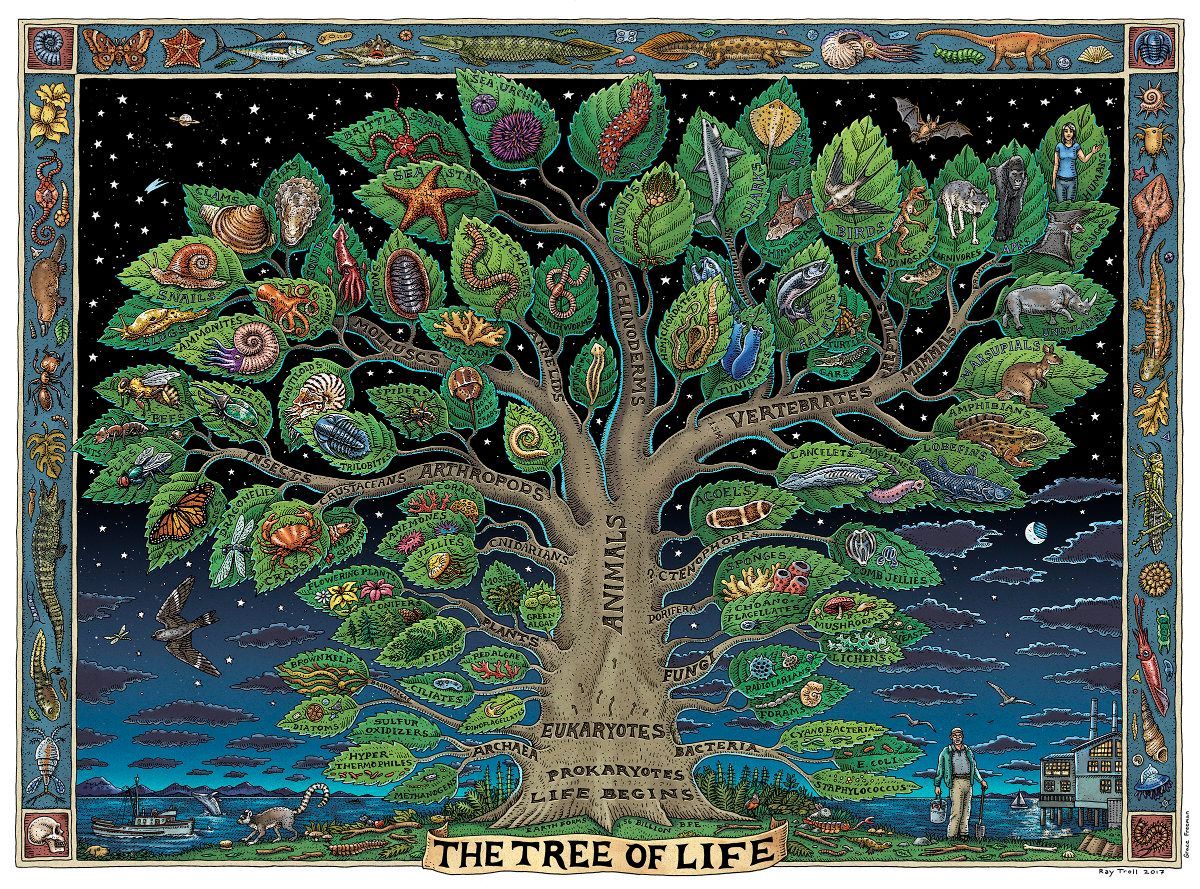 A colorful tree with leaves containing various animals, labeled 