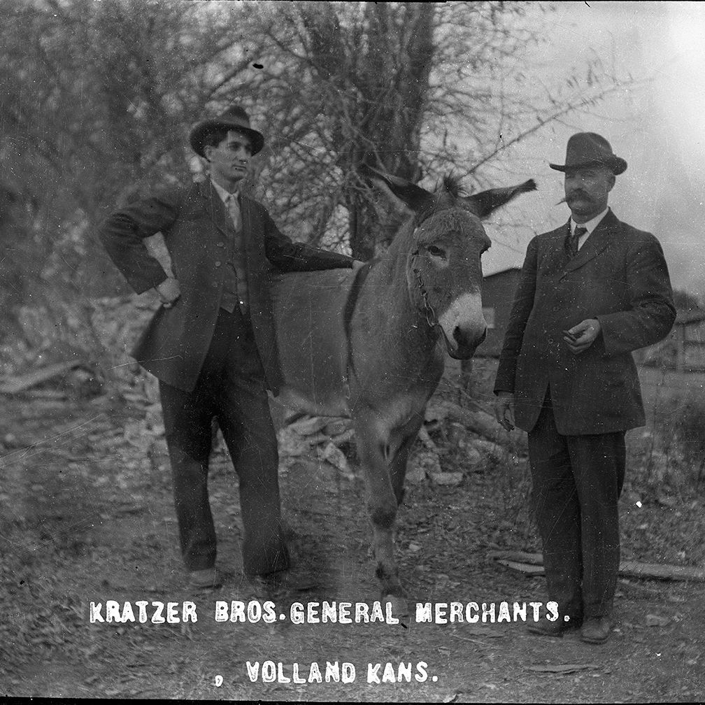A black and white photo of two men standing next to a donkey.