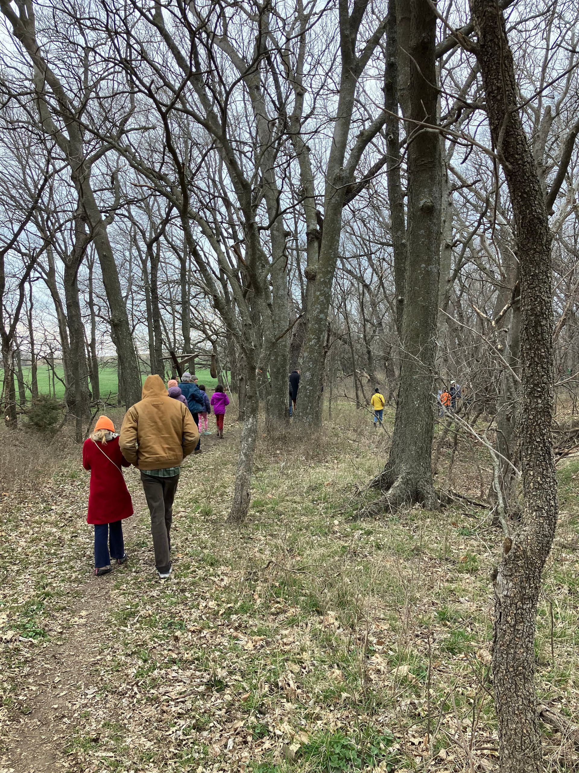 People walking on a path in a bare tree forest; the two in the front are holding hands.