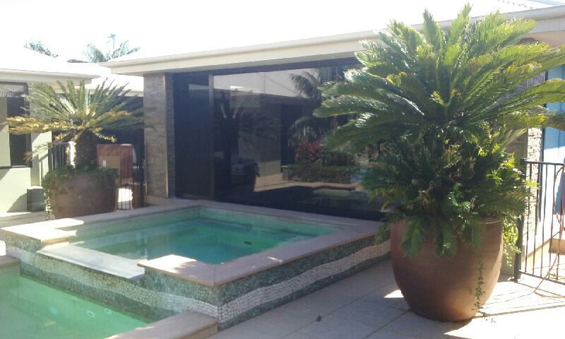A Large Potted Plant Is Sitting Next to A Swimming Pool — Grainger Windows & Doors in Ballina, NSW