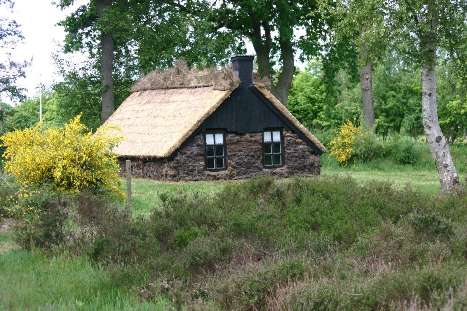 Klein, rustiek huisje met rieten dak in een groene, bosrijke open plek.