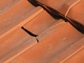 tuile cassée créant une fuite de couverture tuile cassée créant une fuite de toiture au havre