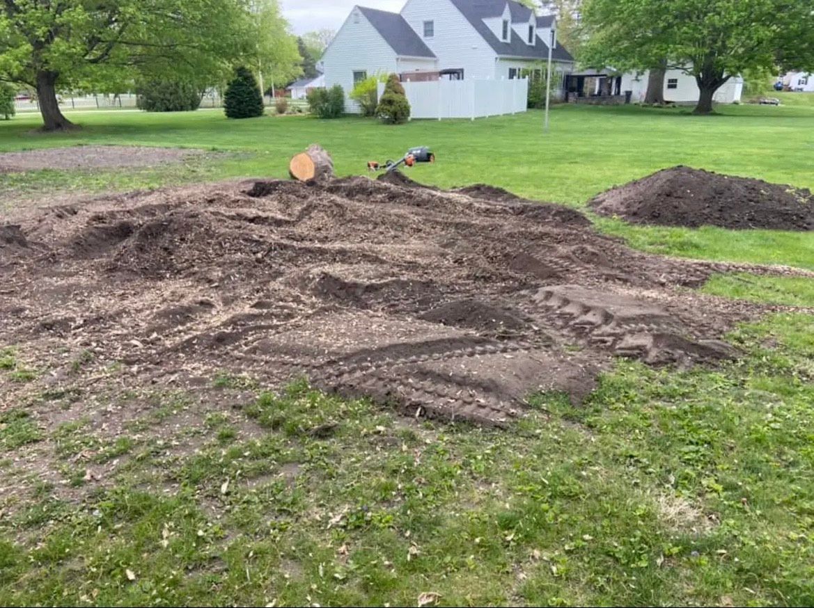 Stump Grinding Service in Boone, North Carolina Stump Grinding Service in Boone, North Carolina