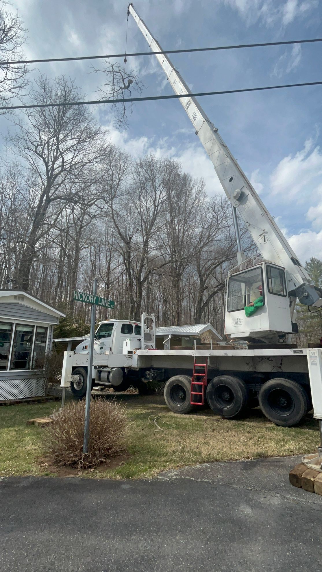 tree services in boone nc
