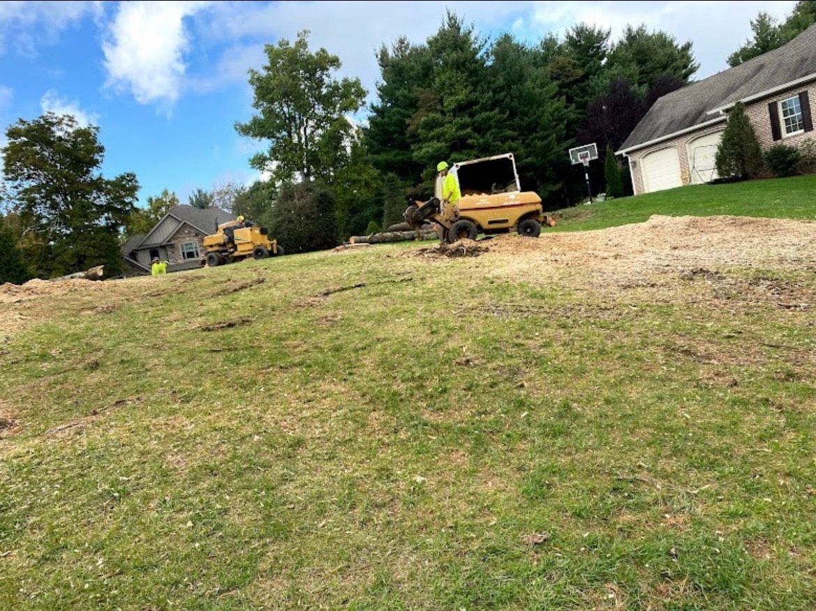 Stump Grinding