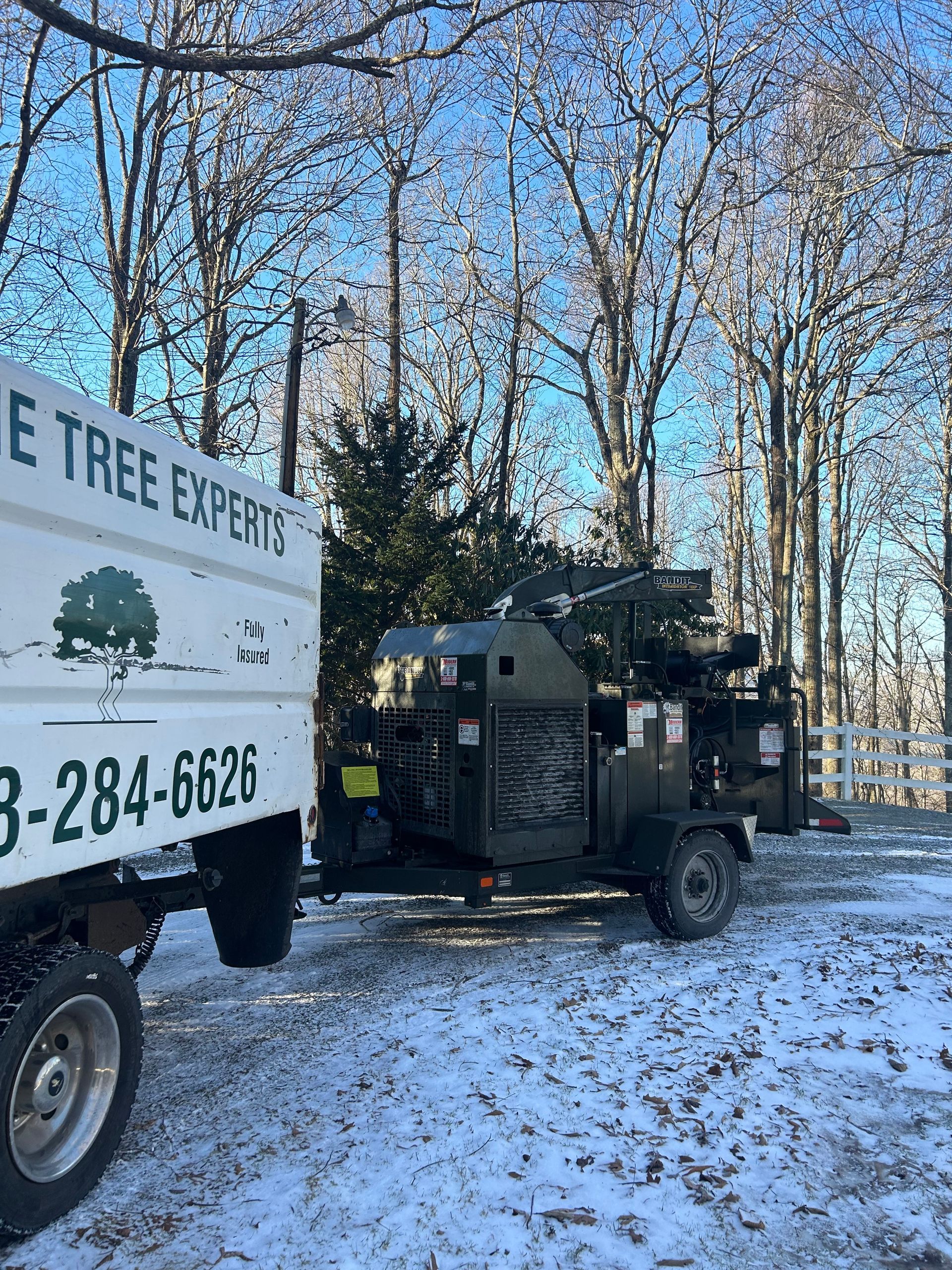 Get expert crane tree removal services in Boone, NC with Boone Tree Experts