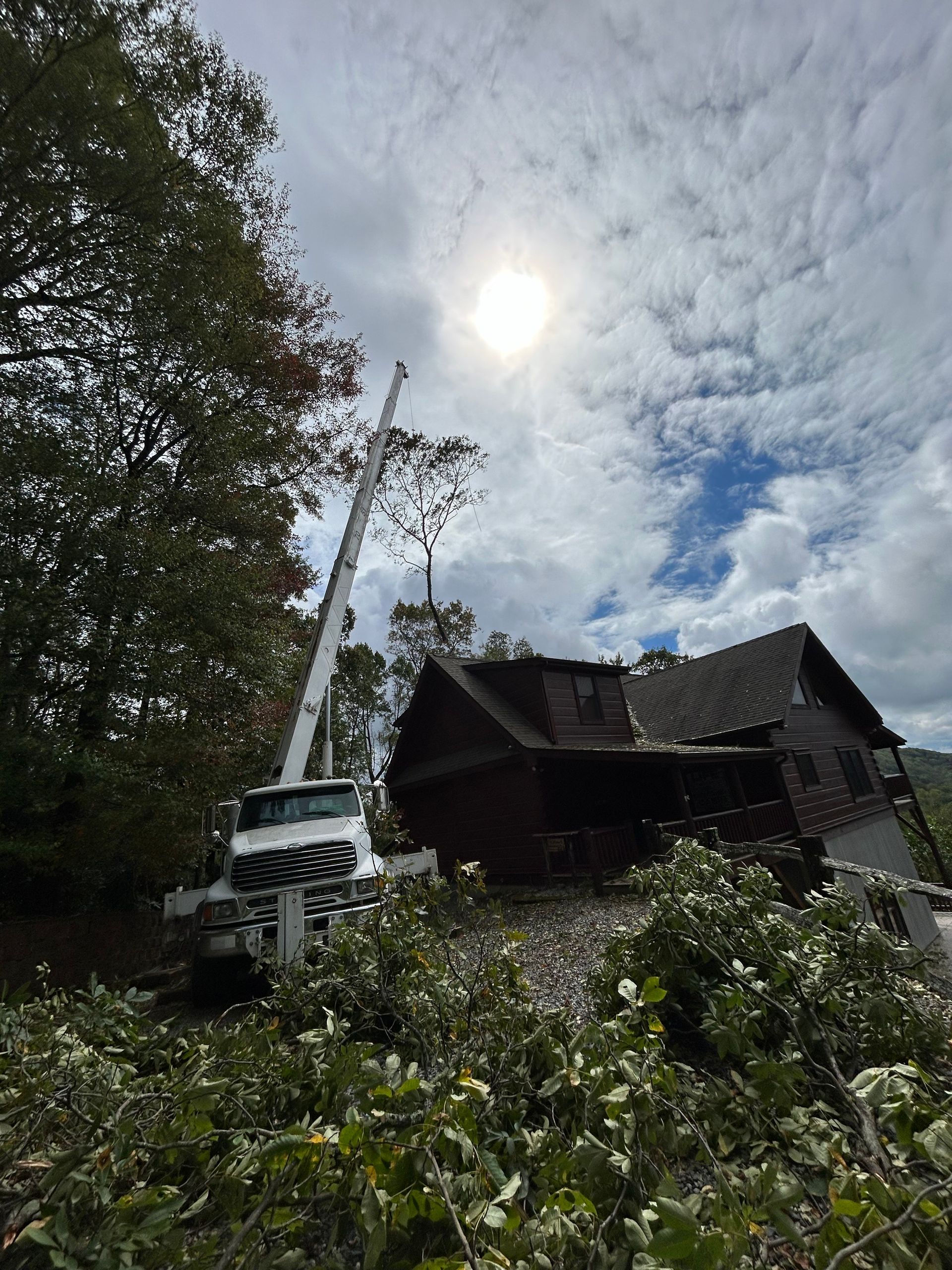 Get expert crane tree removal services in Boone, NC with Boone Tree Experts
