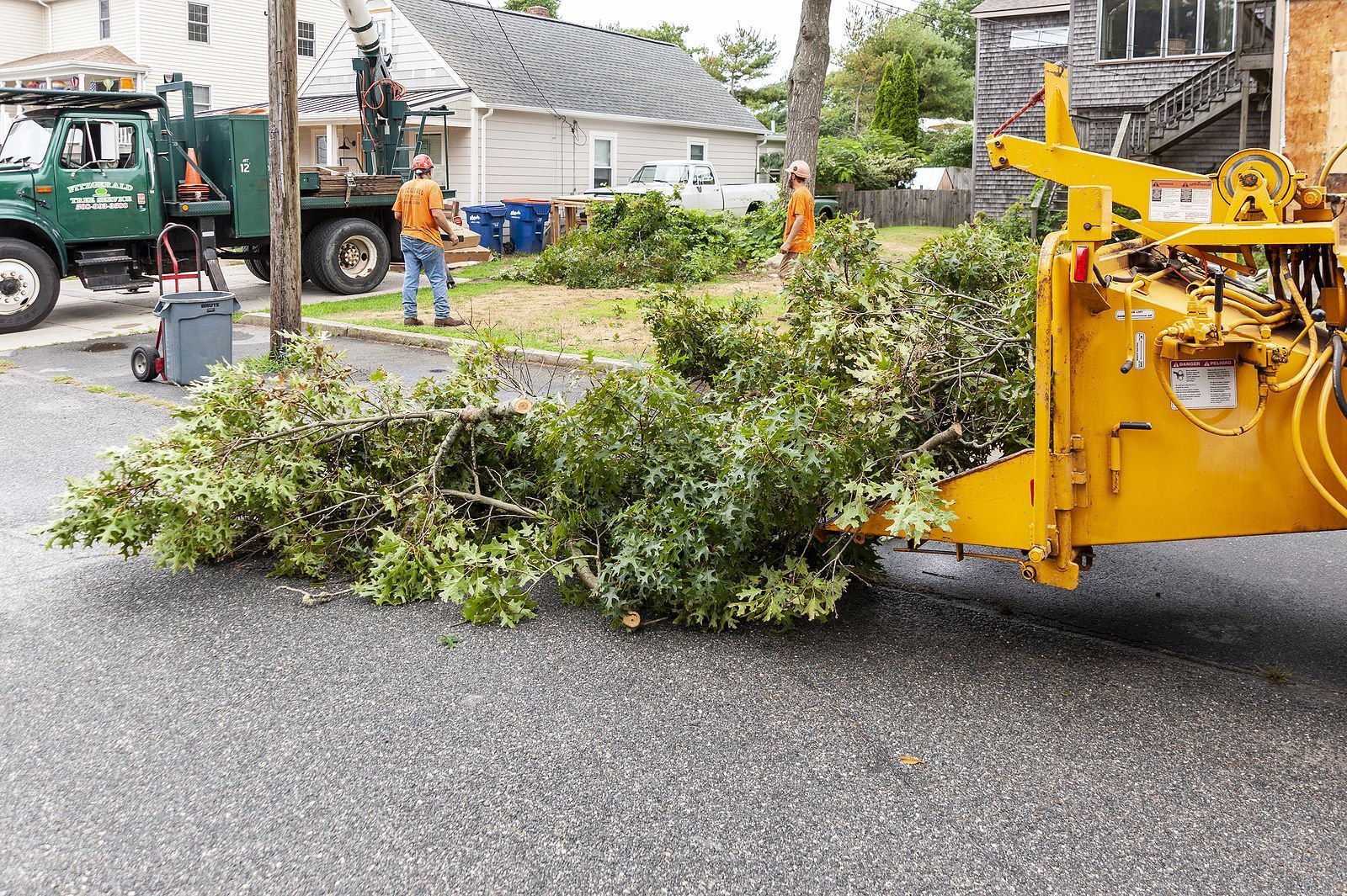 boone's tree services
