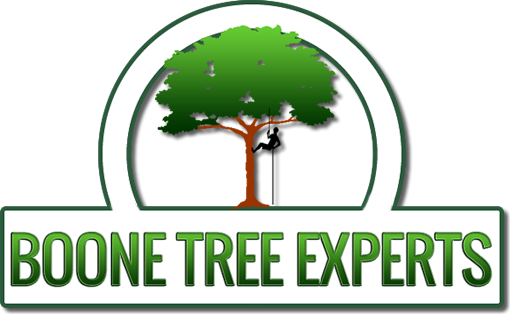 Boone Tree Experts Logo