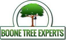 Boone Tree Experts Logo