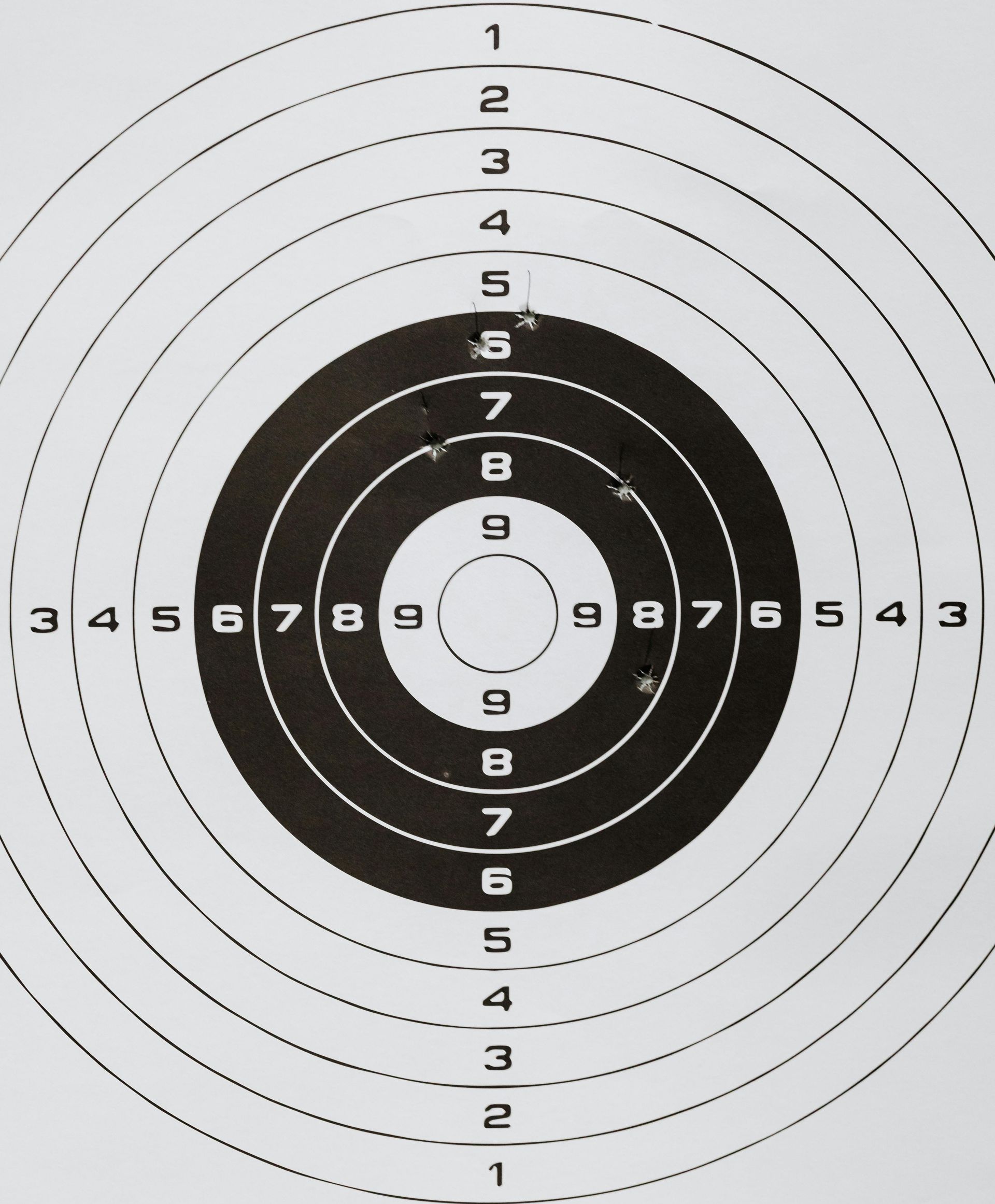 A black and white target with the numbers 1 through 9 on it