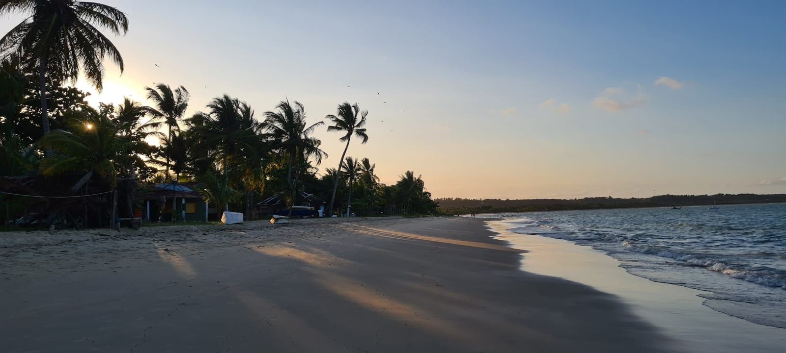 Praia ao pôr do sol com palmeiras, ondas calmas e pegadas na areia.