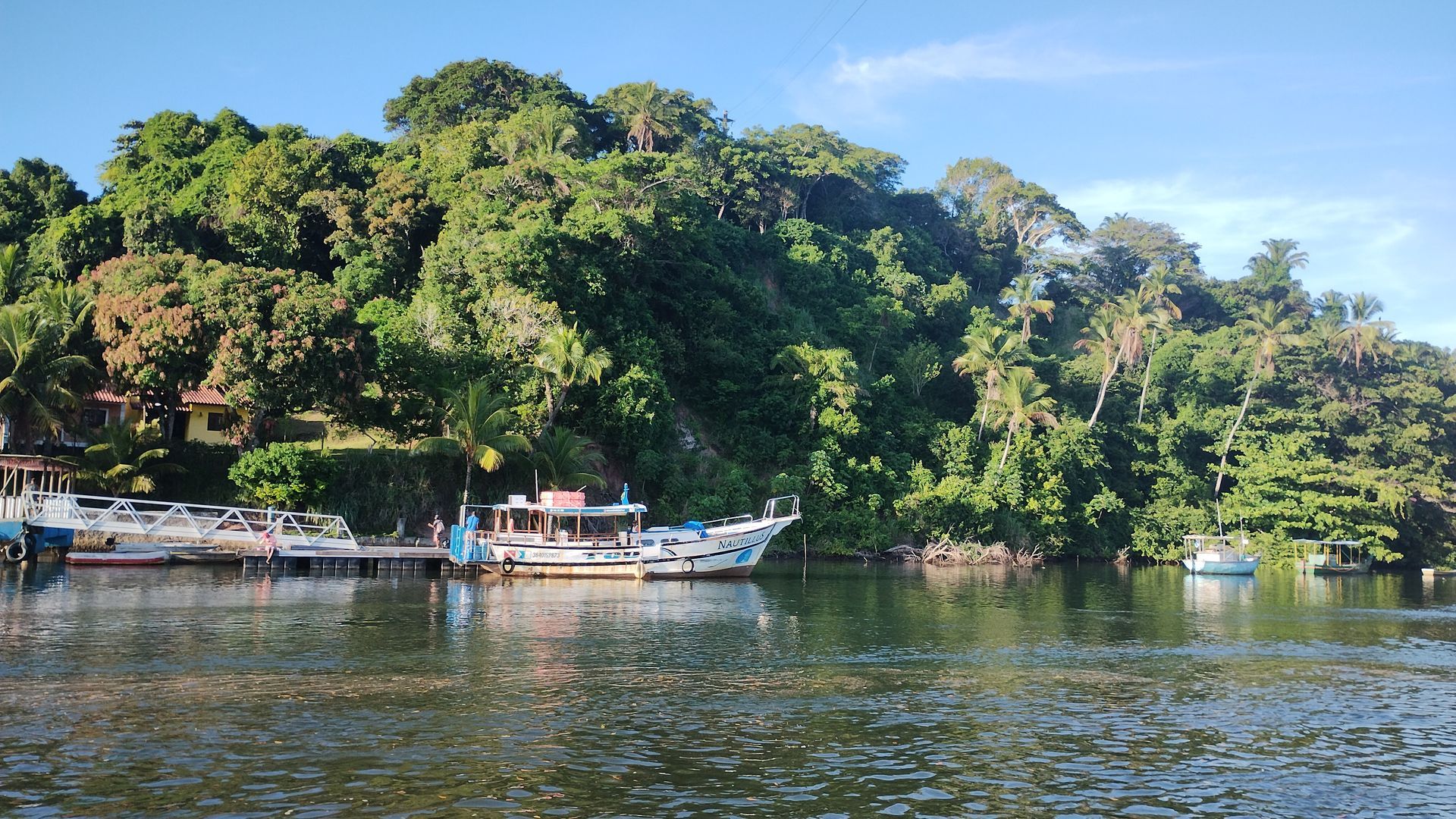 Barcos ancorados ao longo de um rio calmo, junto a uma encosta verdejante, sob um céu azul límpido.