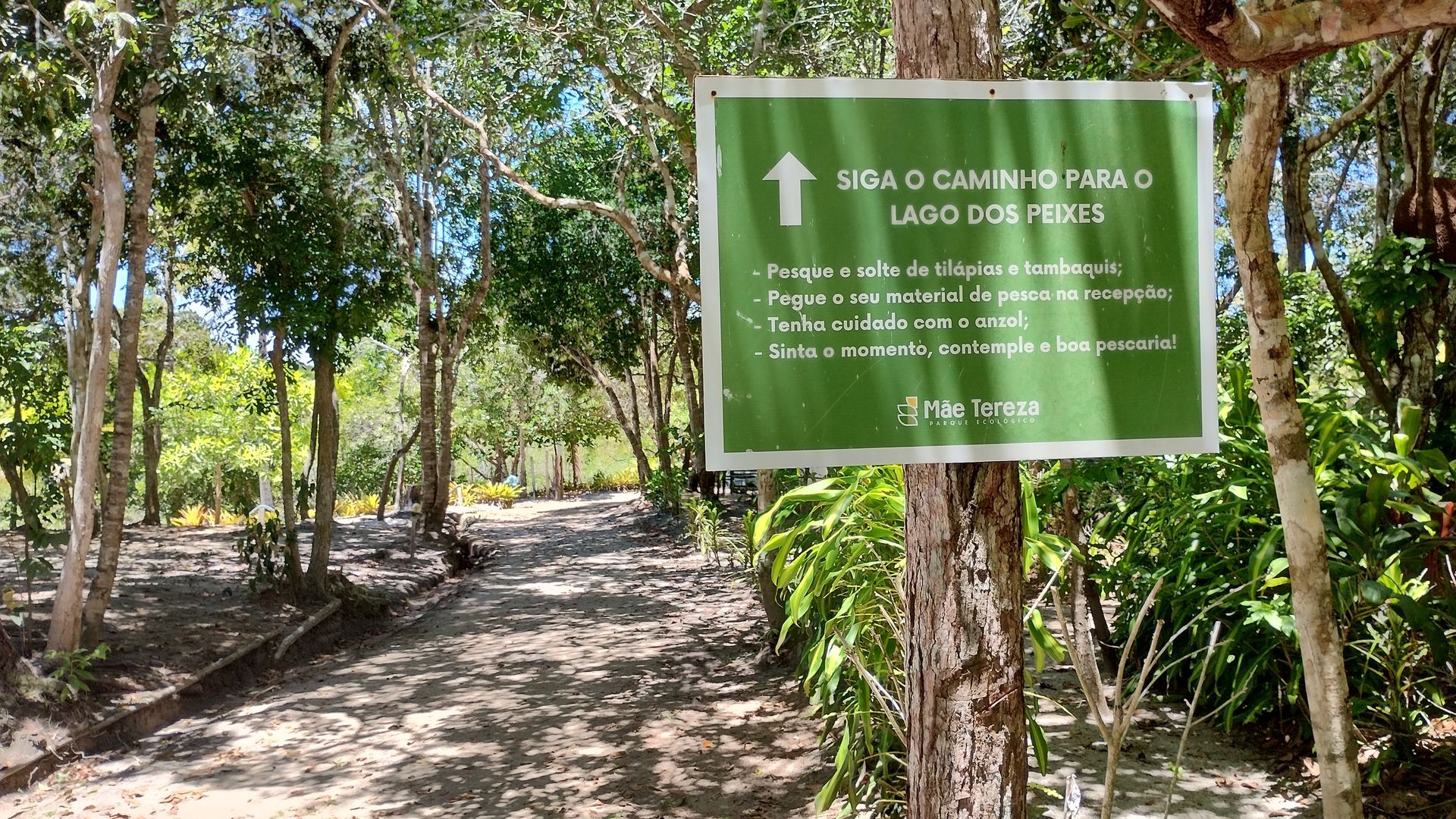 Placa verde de trilha em uma árvore em uma trilha arborizada de um parque, indicando as direções para uma rota local.