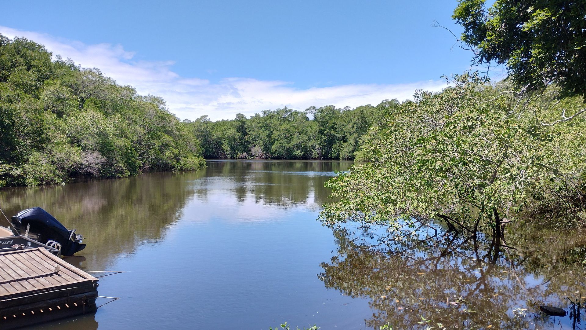Rio calmo ladeado por densas árvores verdes sob um céu azul, com um pequeno cais à esquerda.