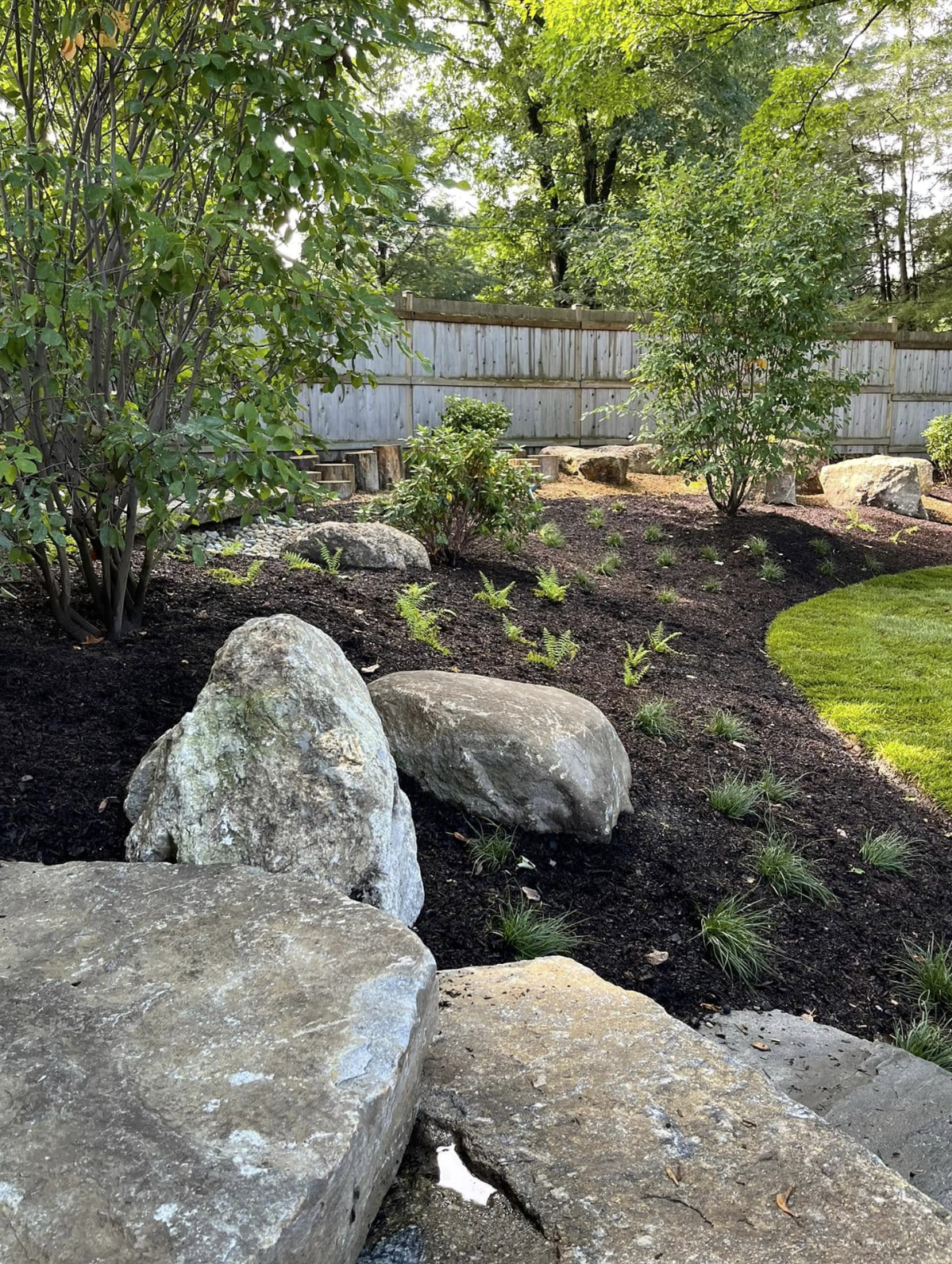 Rock garden with large stones, mulch, trees, and a wooden fence in a landscaped yard