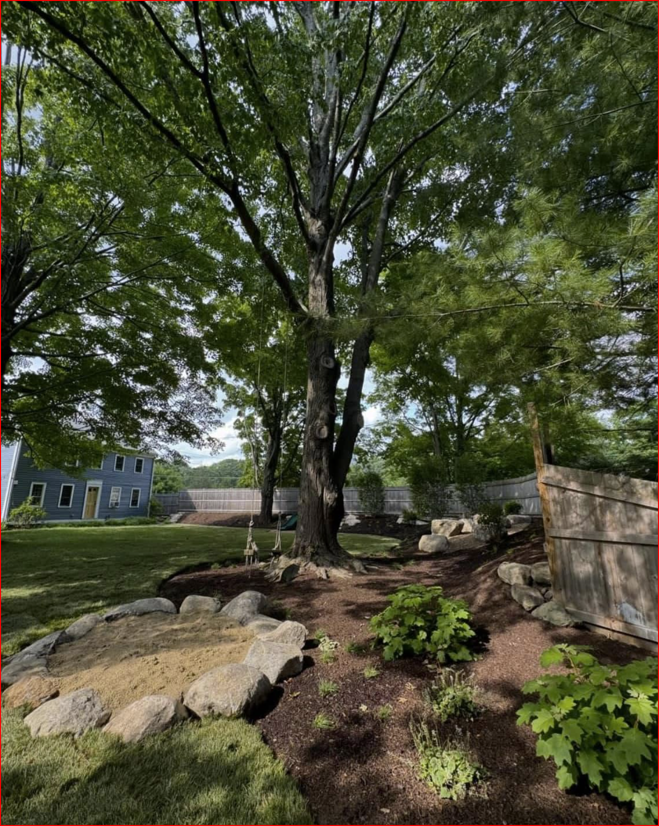 Large shady tree in a landscaped yard with rocks, mulch, and a house in the background