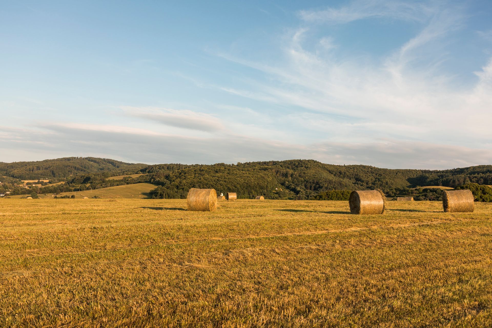 Rural Storage