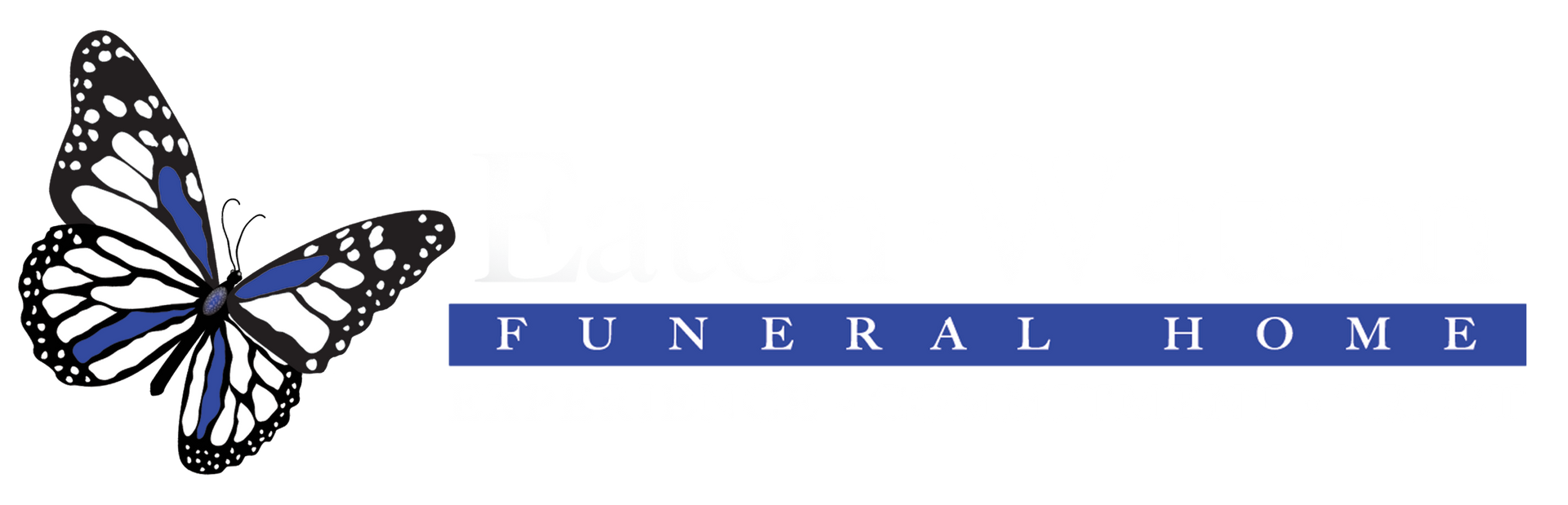 logo-image