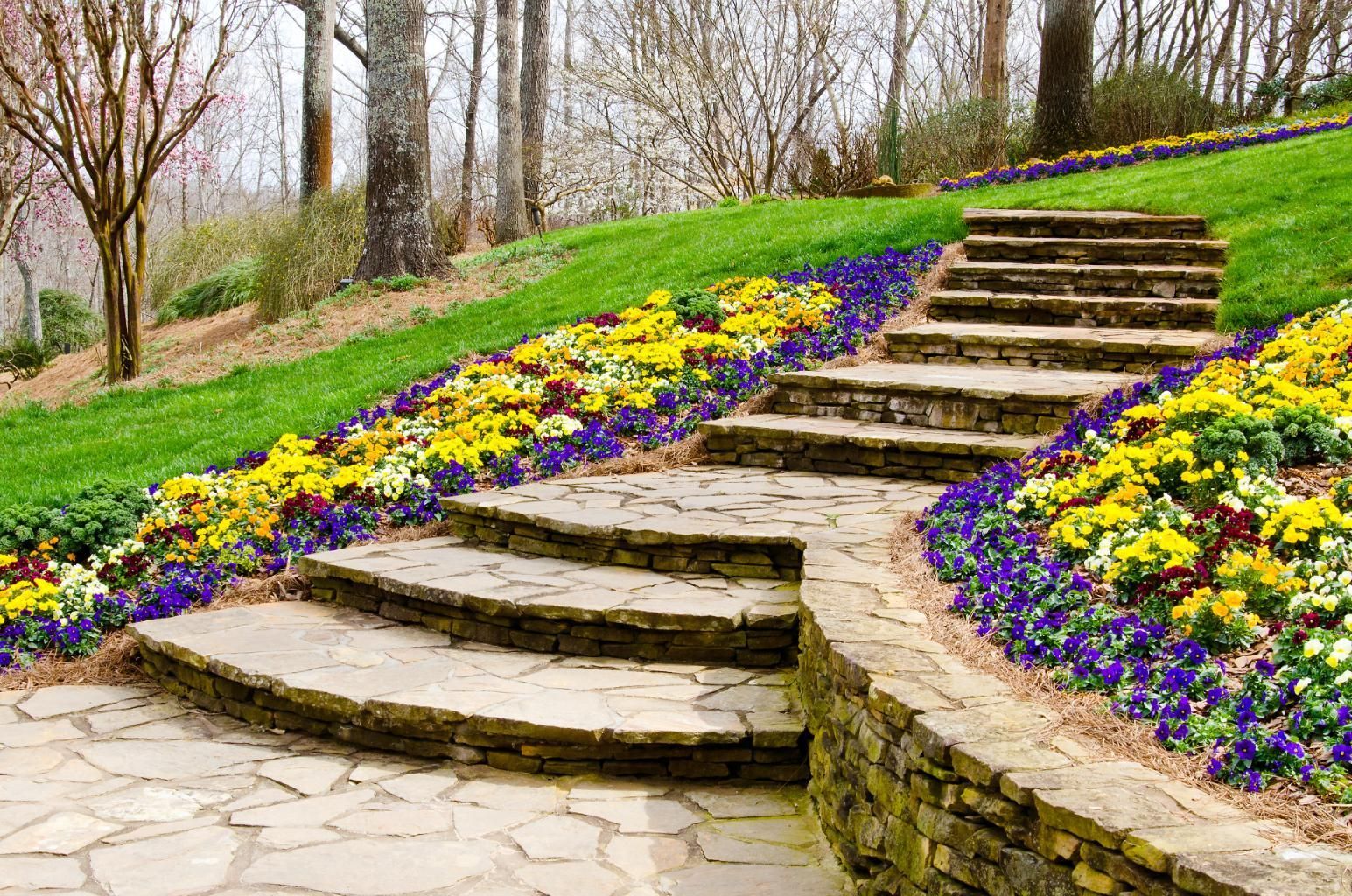 A stone walkway leads up to a lush green hillside surrounded by flowers.