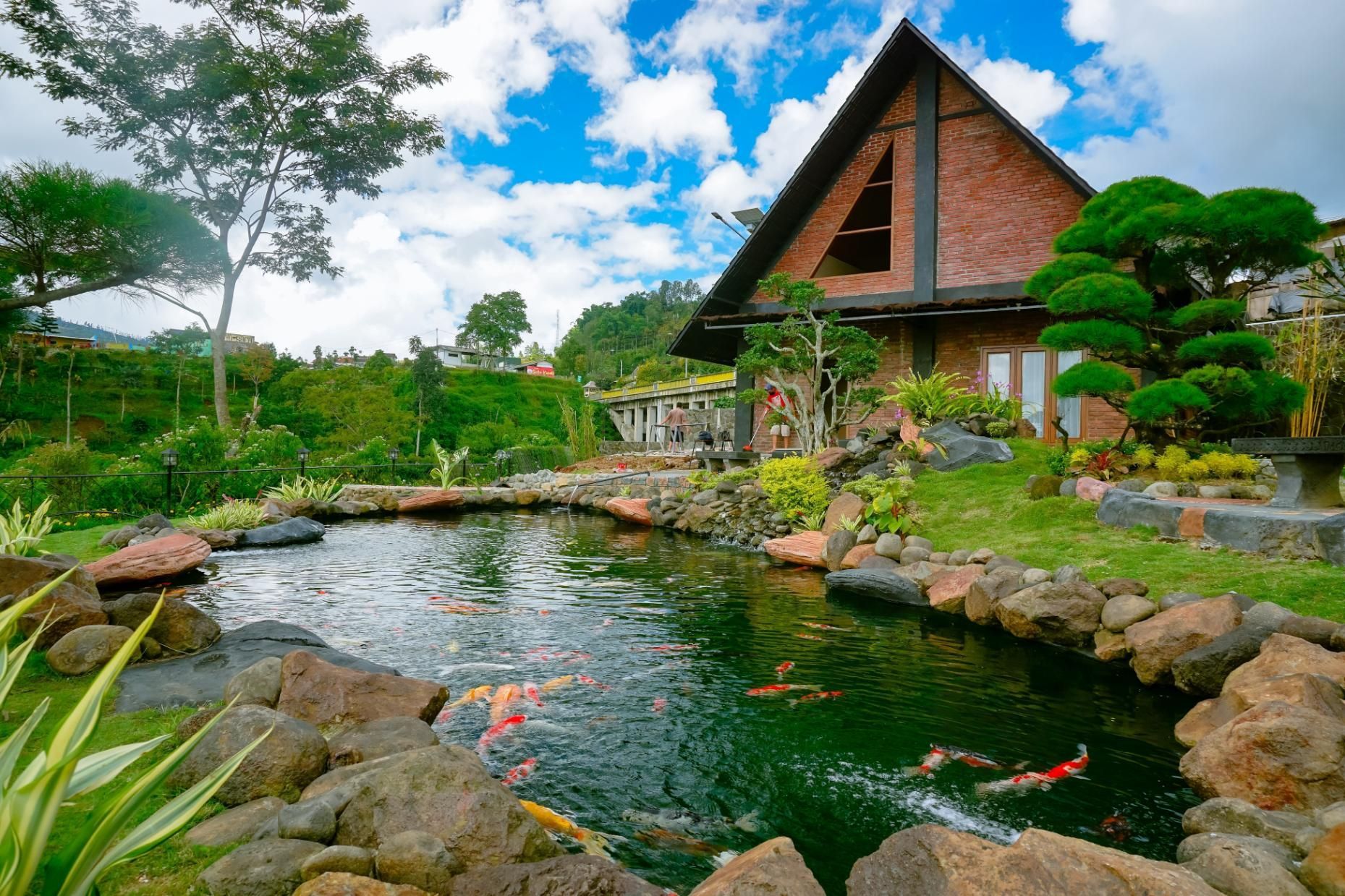A large pond with fish in it in front of a house.