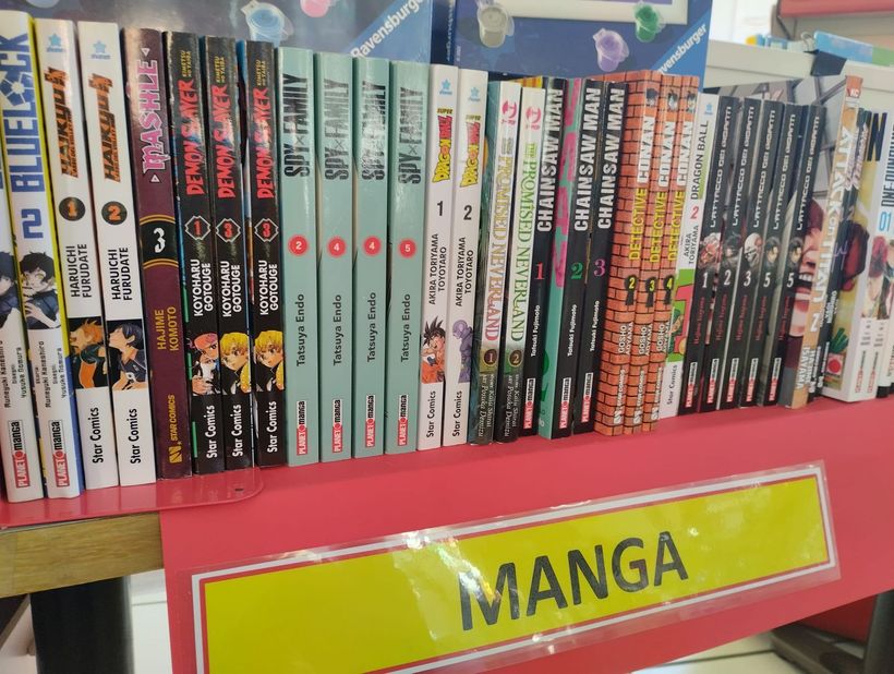 Un mucchio di libri sono sullo scaffale di un negozio
