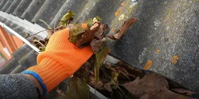 Person wearing an orange glove cleaning leaves from a gutter.