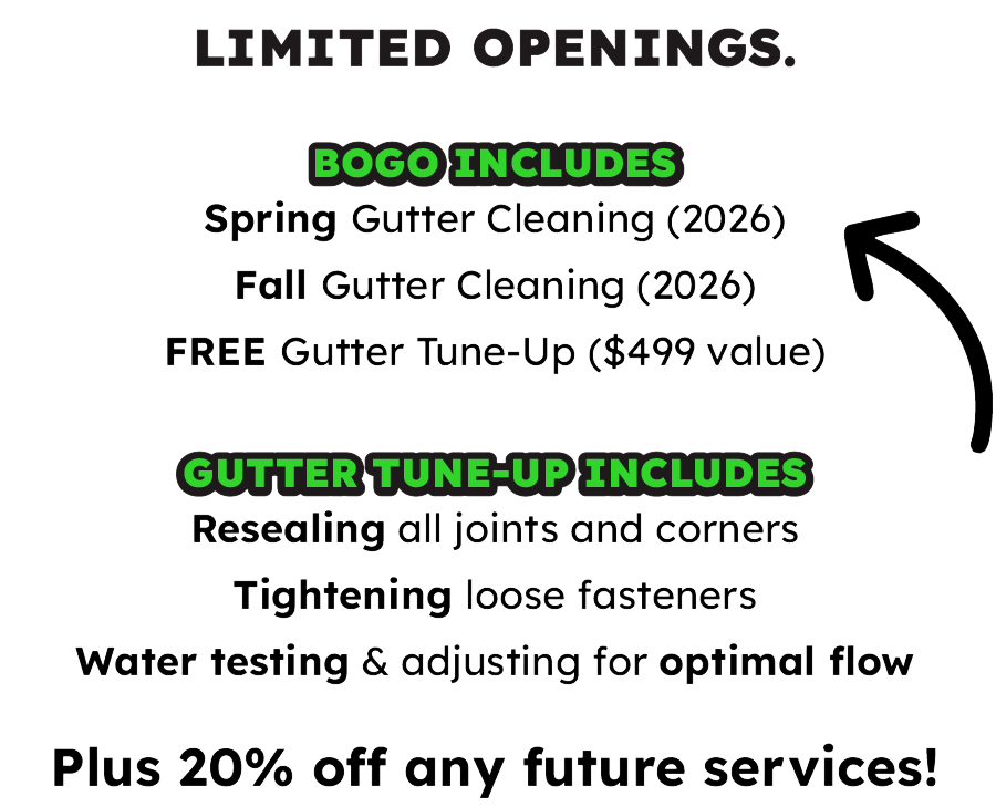 BOGO offer: Spring & Fall gutter cleaning (2026), free tune-up ($499 value), plus 20% off future services.