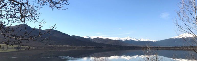 Un lago con montañas al fondo y un árbol en primer plano.