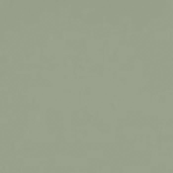 Un primer plano de un fondo verde liso.