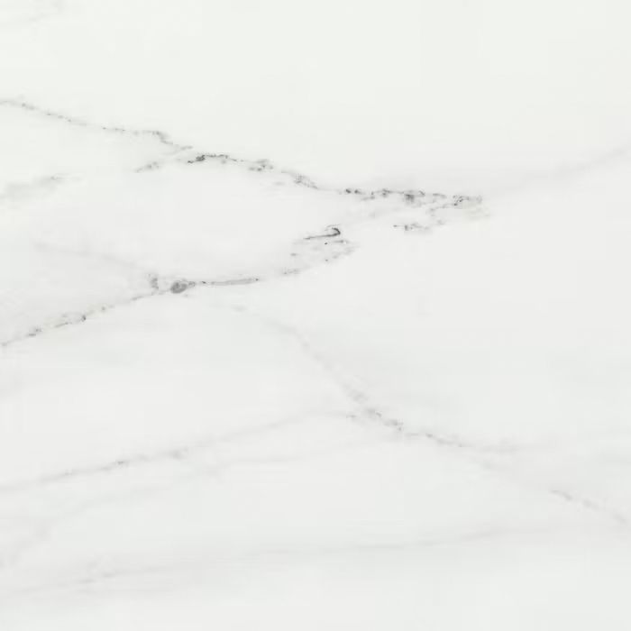 Un primer plano de una baldosa de mármol blanco con vetas negras.