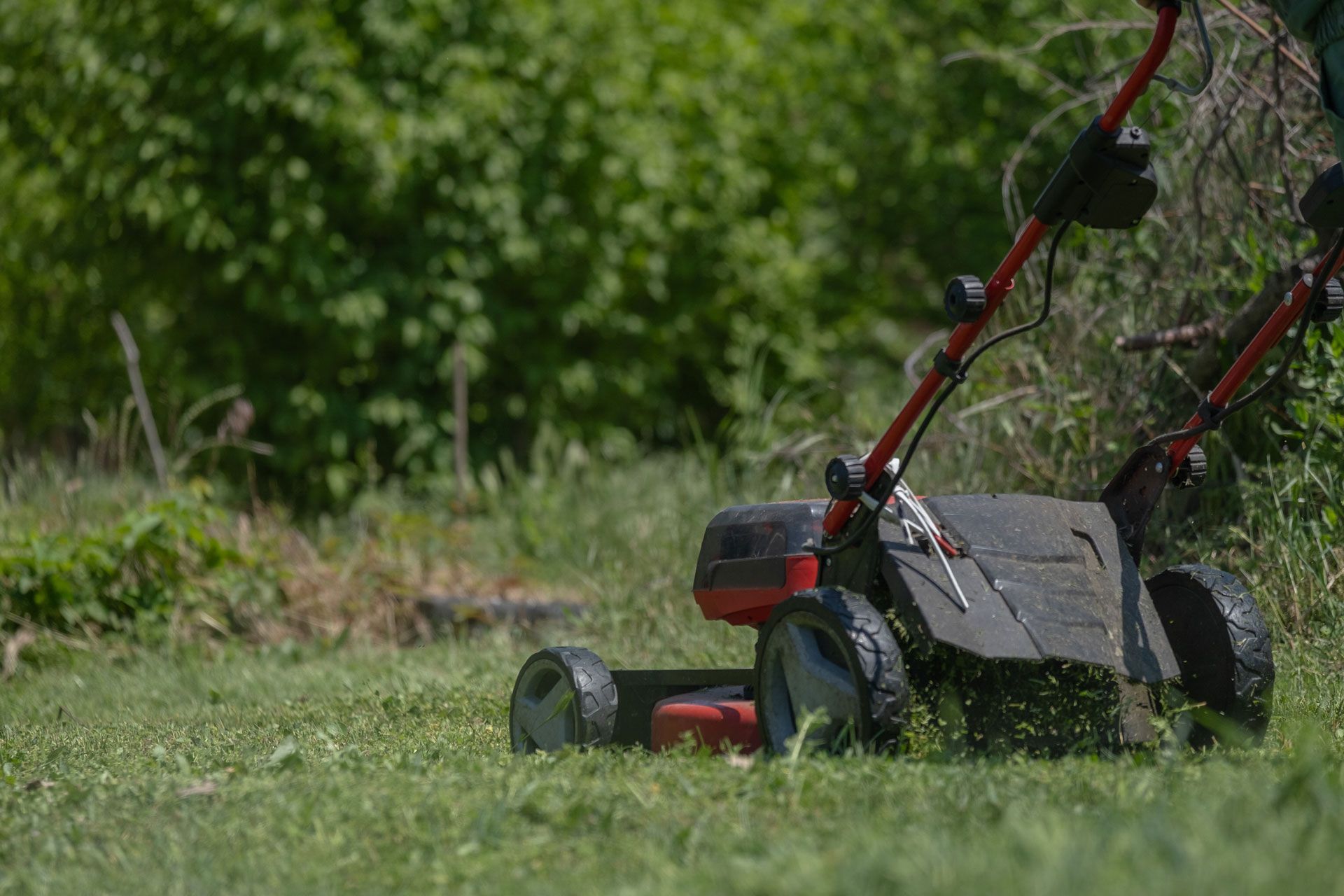 Red lawn mower on grass near a tree, with a black mesh catcher and green bushes in the background