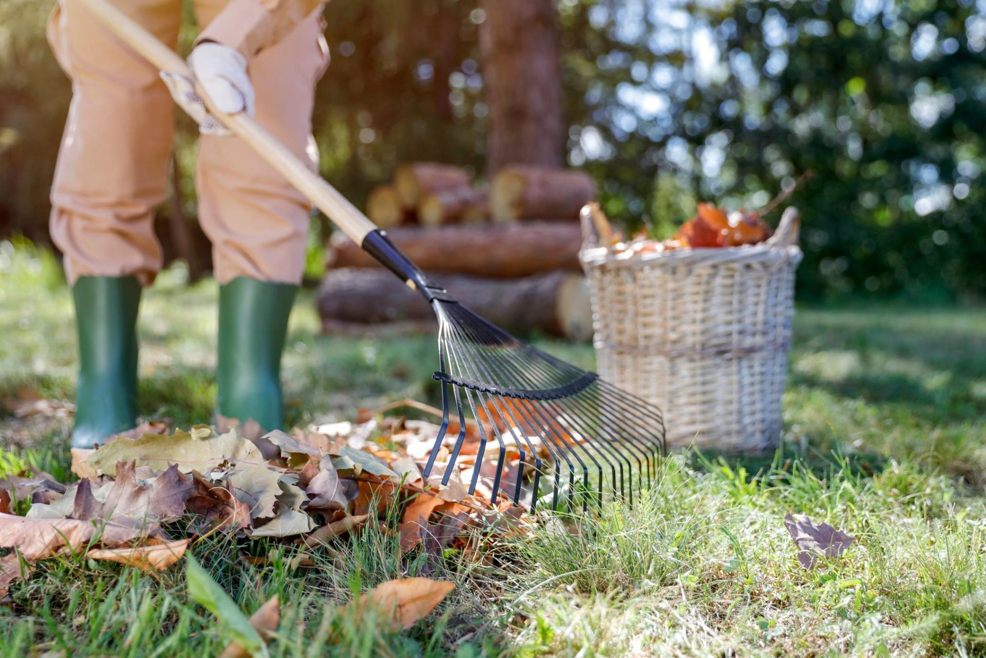 Person raking fallen leaves on grass into a basket outdoors; green boots, gloves.