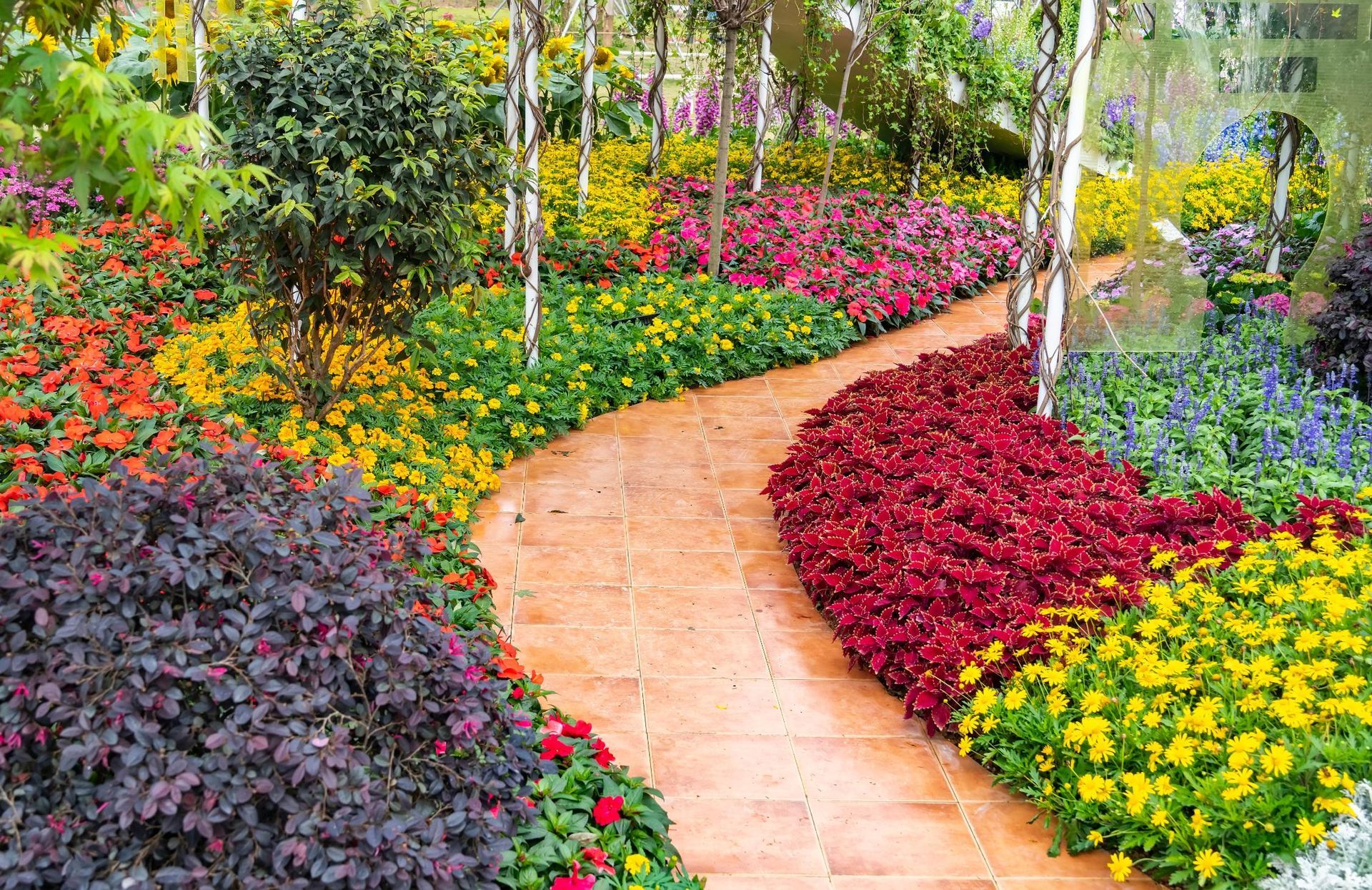A winding brick path through a colorful garden lined with diverse flowering plants.