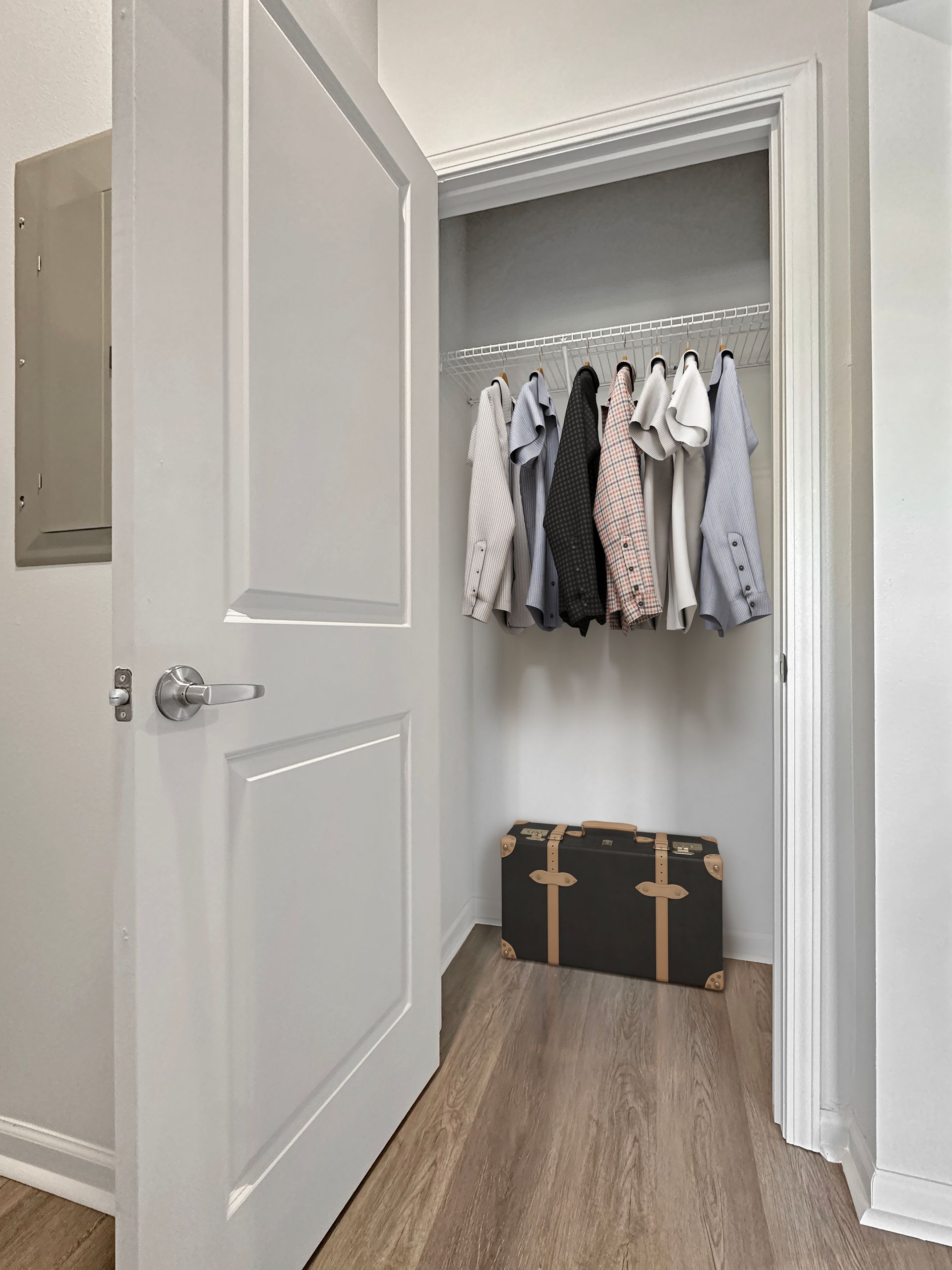 Open closet with hanging clothes and a black trunk on the floor; white door and trim.