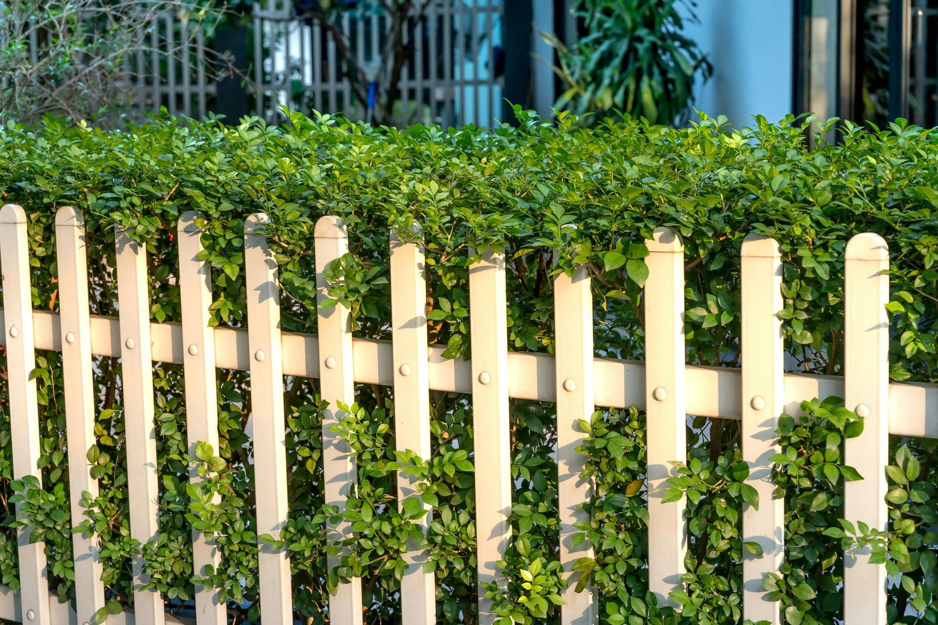 fence builders
