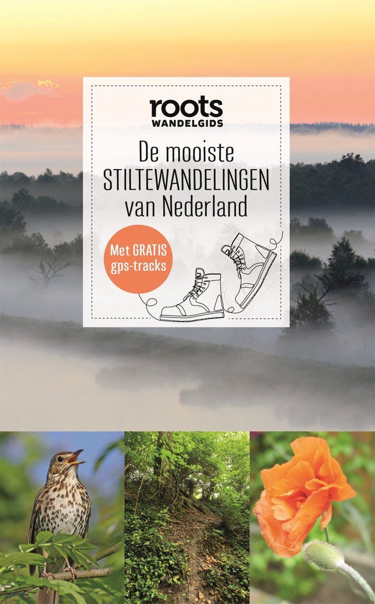 Boekcover: "De mooiste Stiltewandelingen van Nederland", mistig landschap met natuurbeelden op de achtergrond.