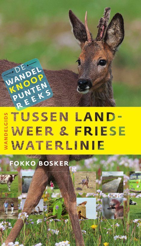 Book cover with deer in field; green and yellow text: "Tussen Landweer & Friese Waterlinie."