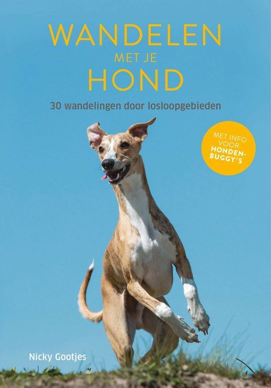 Boekcover: Hond die springt tegen een blauwe luchtachtergrond; titel "Wandelen met je hond".