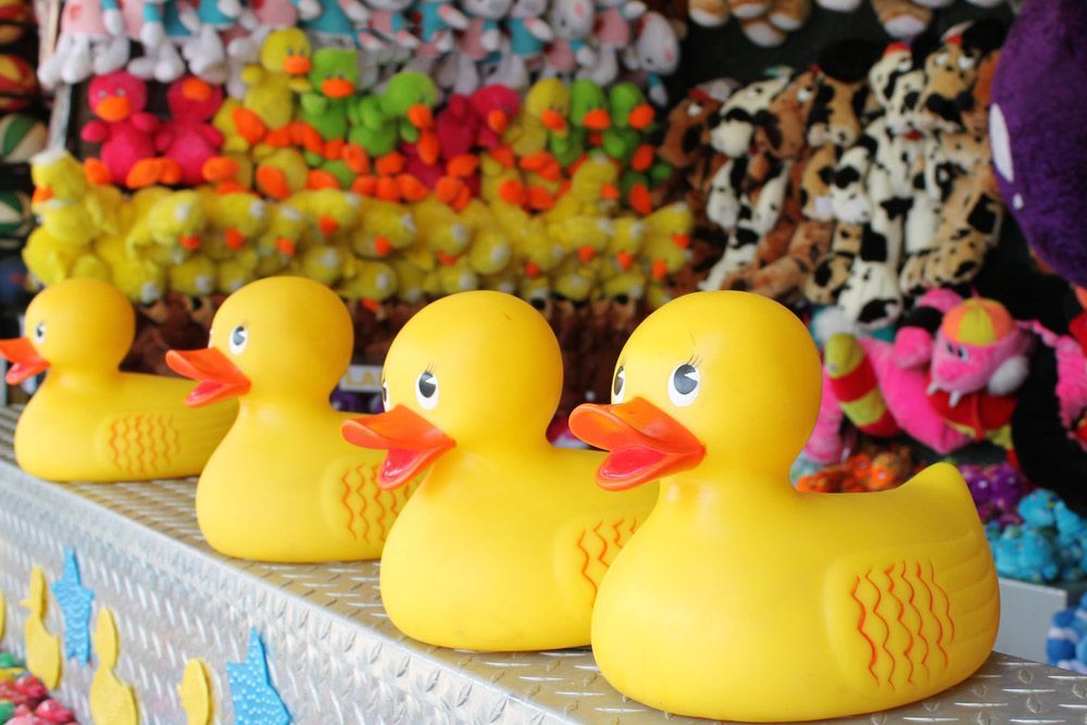 Ducks At A Carnival Game — AMP Amusements In Yeppoon, QLD