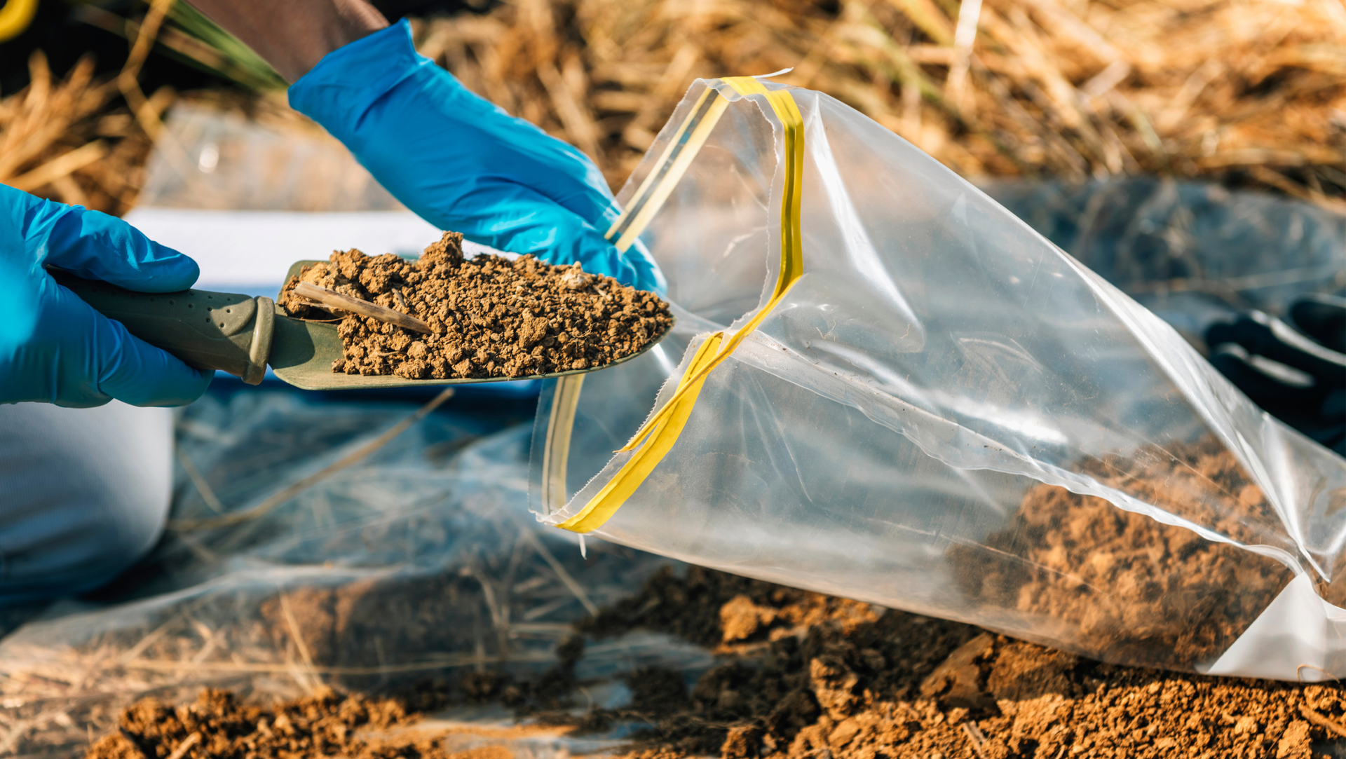 A person is scooping soil from a plastic bag with a shovel.