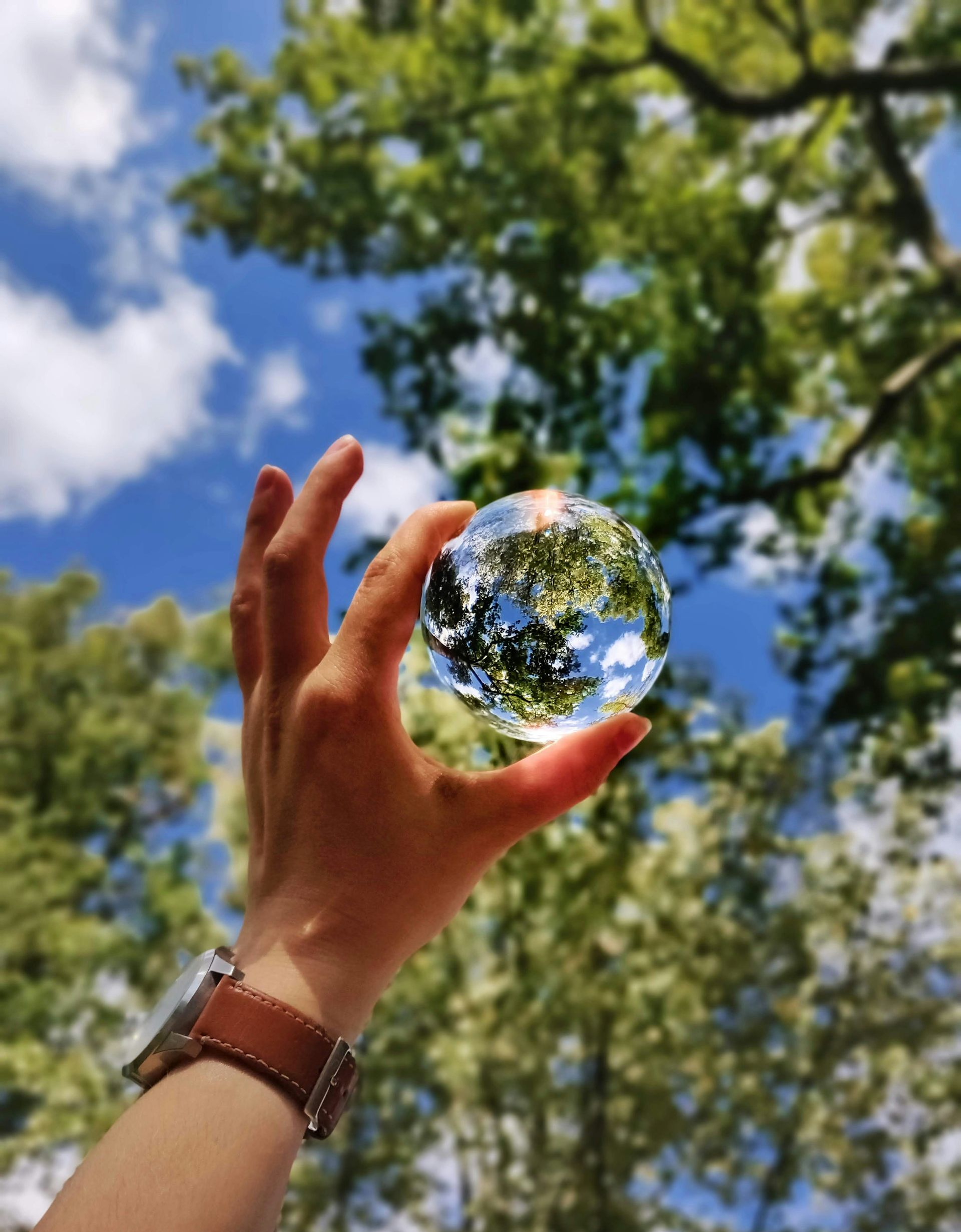 Hand holding a crystal ball reflecting a sunny sky and trees.