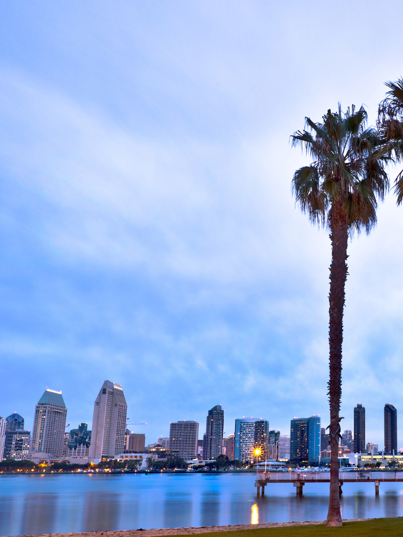 San Diego skyline at dusk with palm trees and water in the foreground.