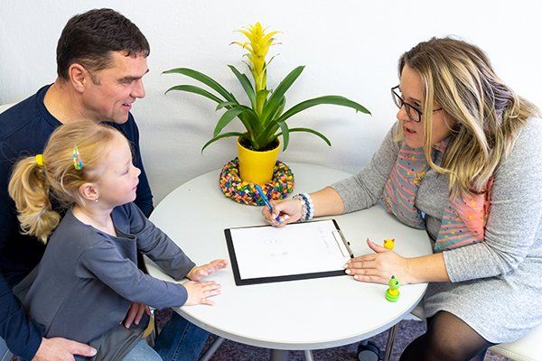 Consultation — Onalaska WI — Natural Learning Solutions