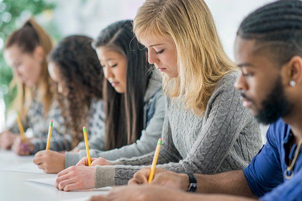 Students Writing a Test — Onalaska WI — Natural Learning Solutions