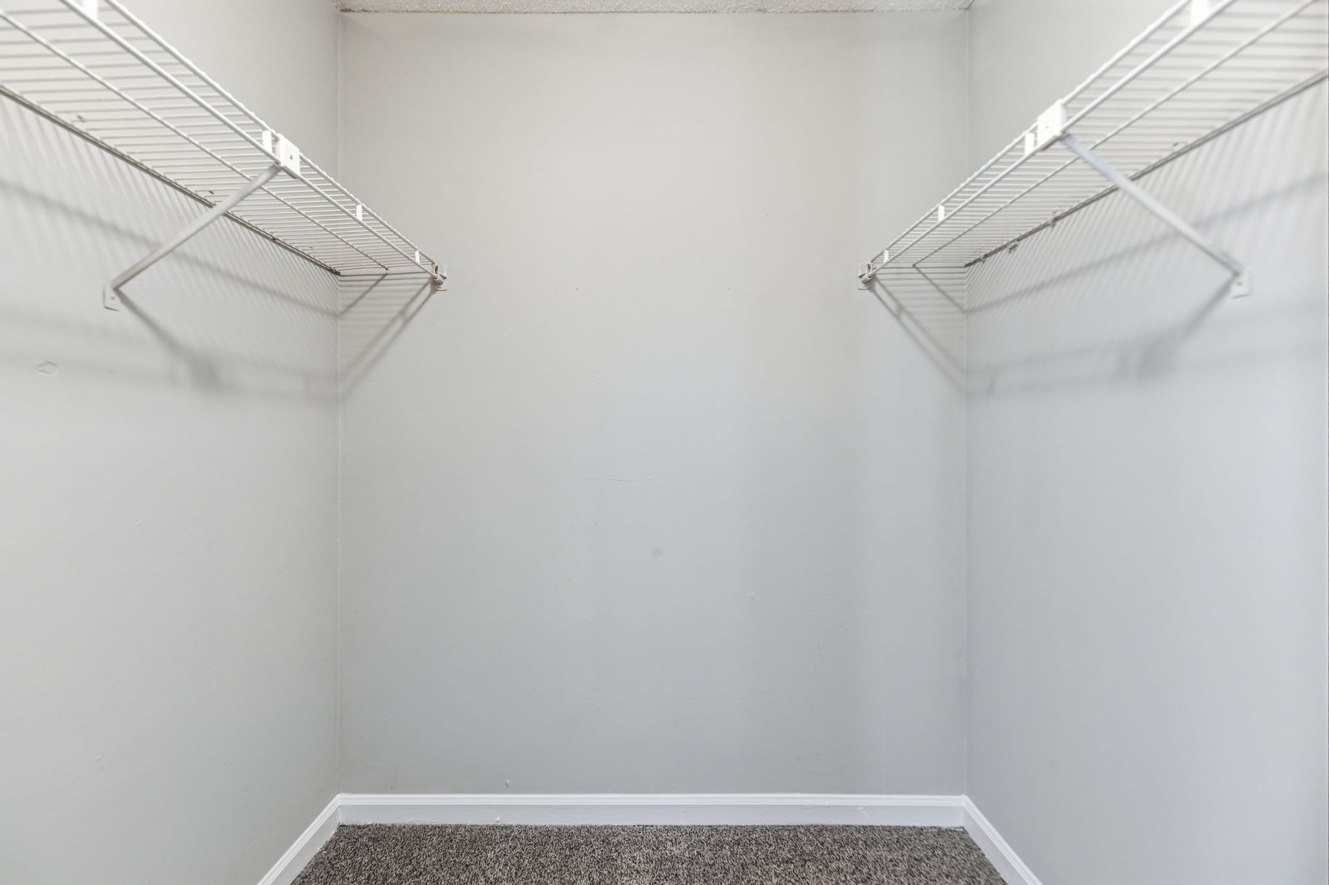 Empty closet with gray walls, white wire shelving on both sides, and carpeted flooring.