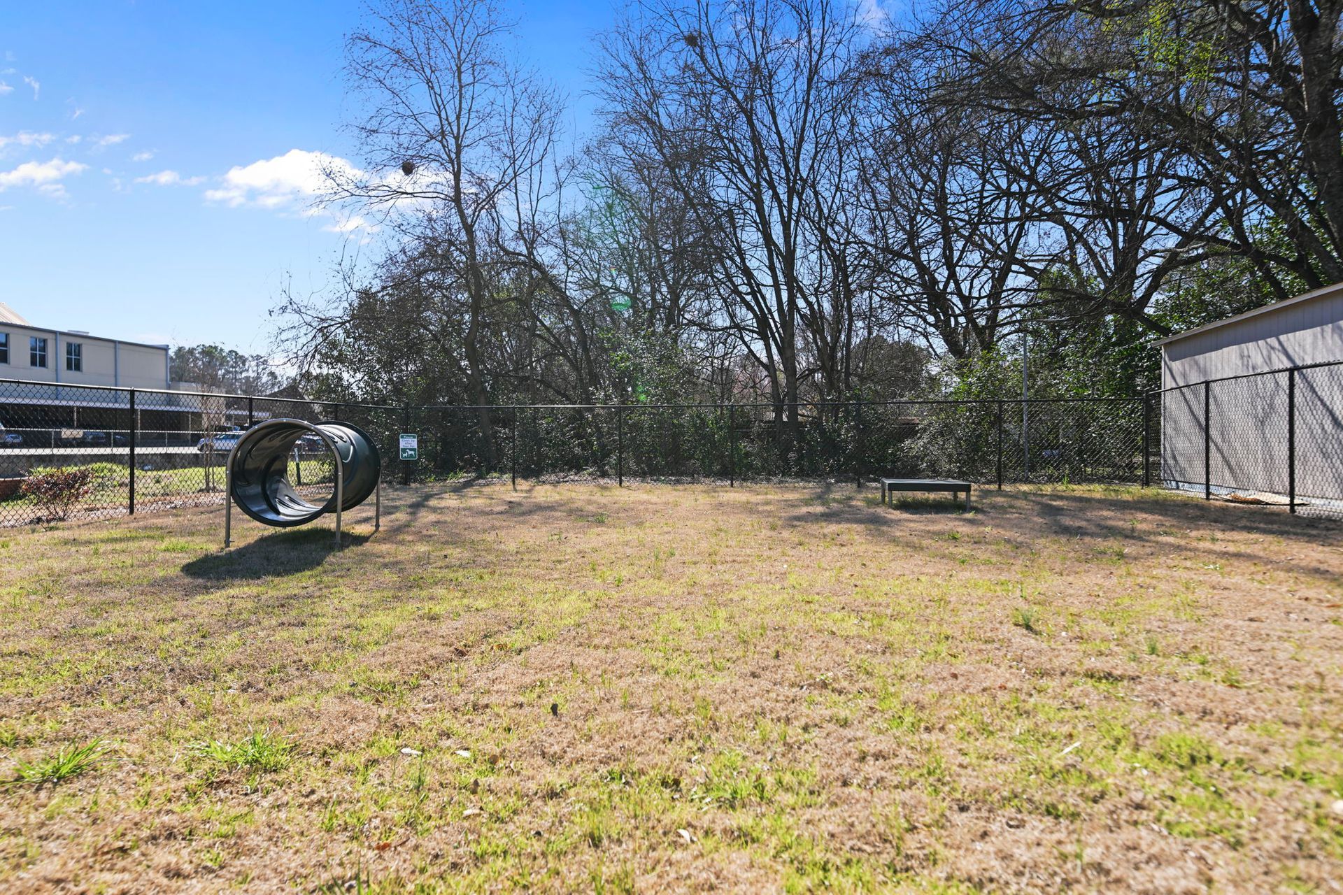 A sunny, fenced-in dog park with a play tunnel and platform on a grassy field, backed by trees and a nearby building.