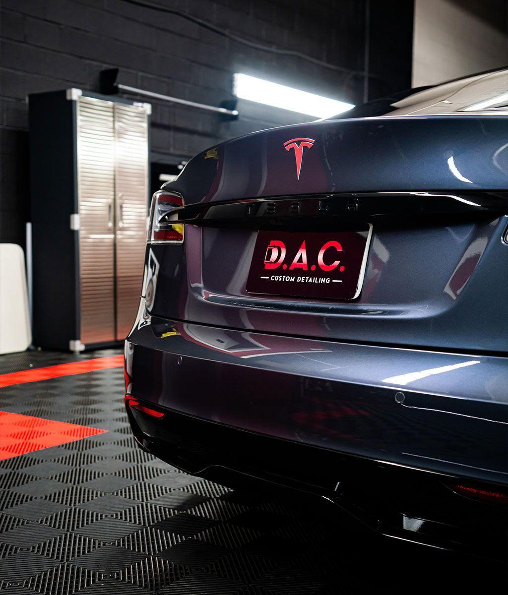 Paint Protection Film Services