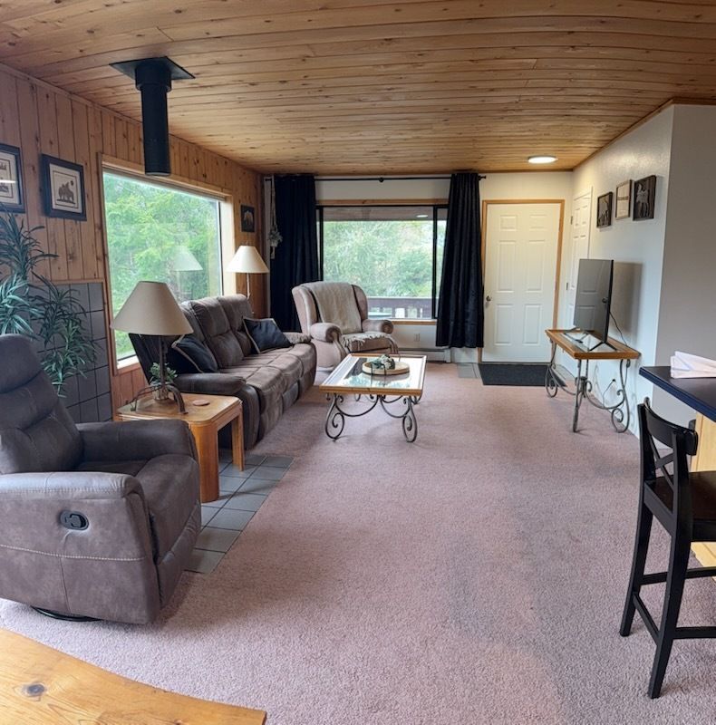 Cozy living room with wood-paneled ceiling, sofa, armchair, coffee table, and TV on a stand